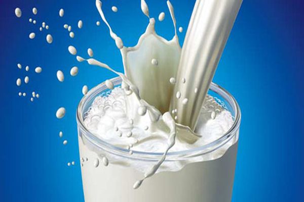 Beslenmenin temel kalsiyum kaynağını, süt oluşturuyor