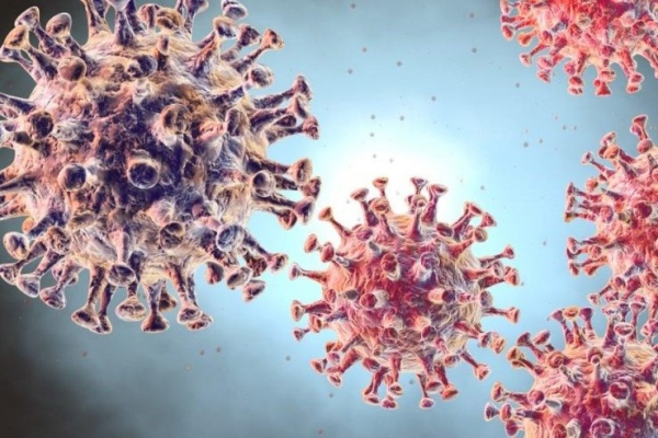 Koronavirüse karşı bağışıklık sisteminizi güçlendirin