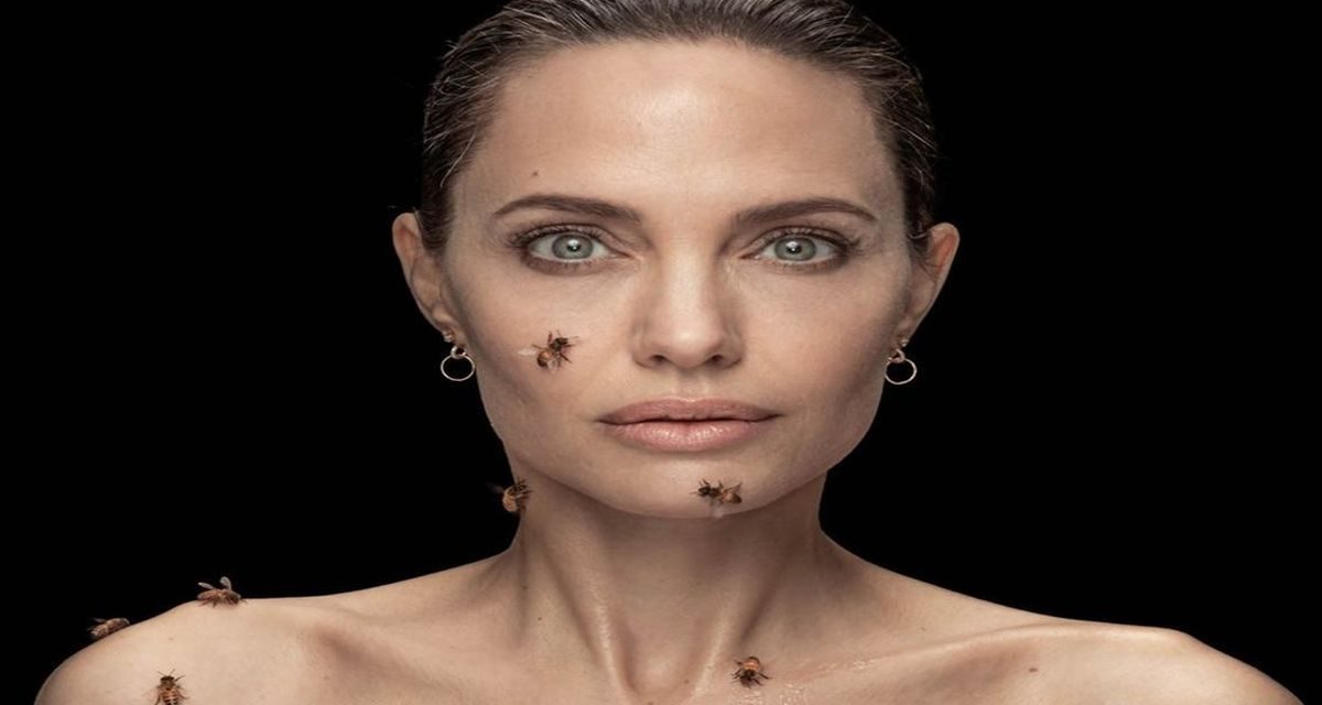 Angelina Jolie arılarla 18 dakika nasıl durdu?
